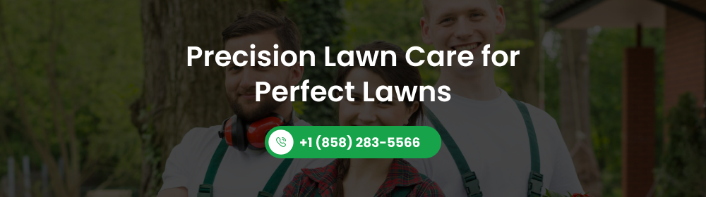 professional lawn care