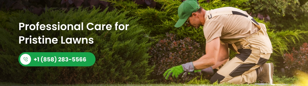 perfect lawn care service